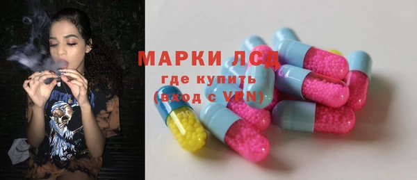 спайс Бородино