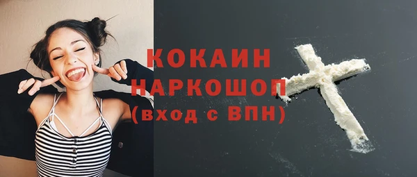 сатива Верея