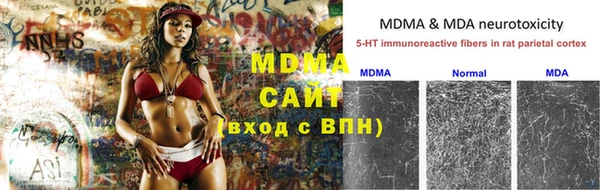спайс Бородино
