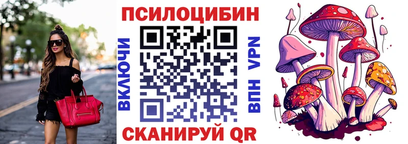 Галлюциногенные грибы MAGIC MUSHROOMS  darknet состав  Выборг 